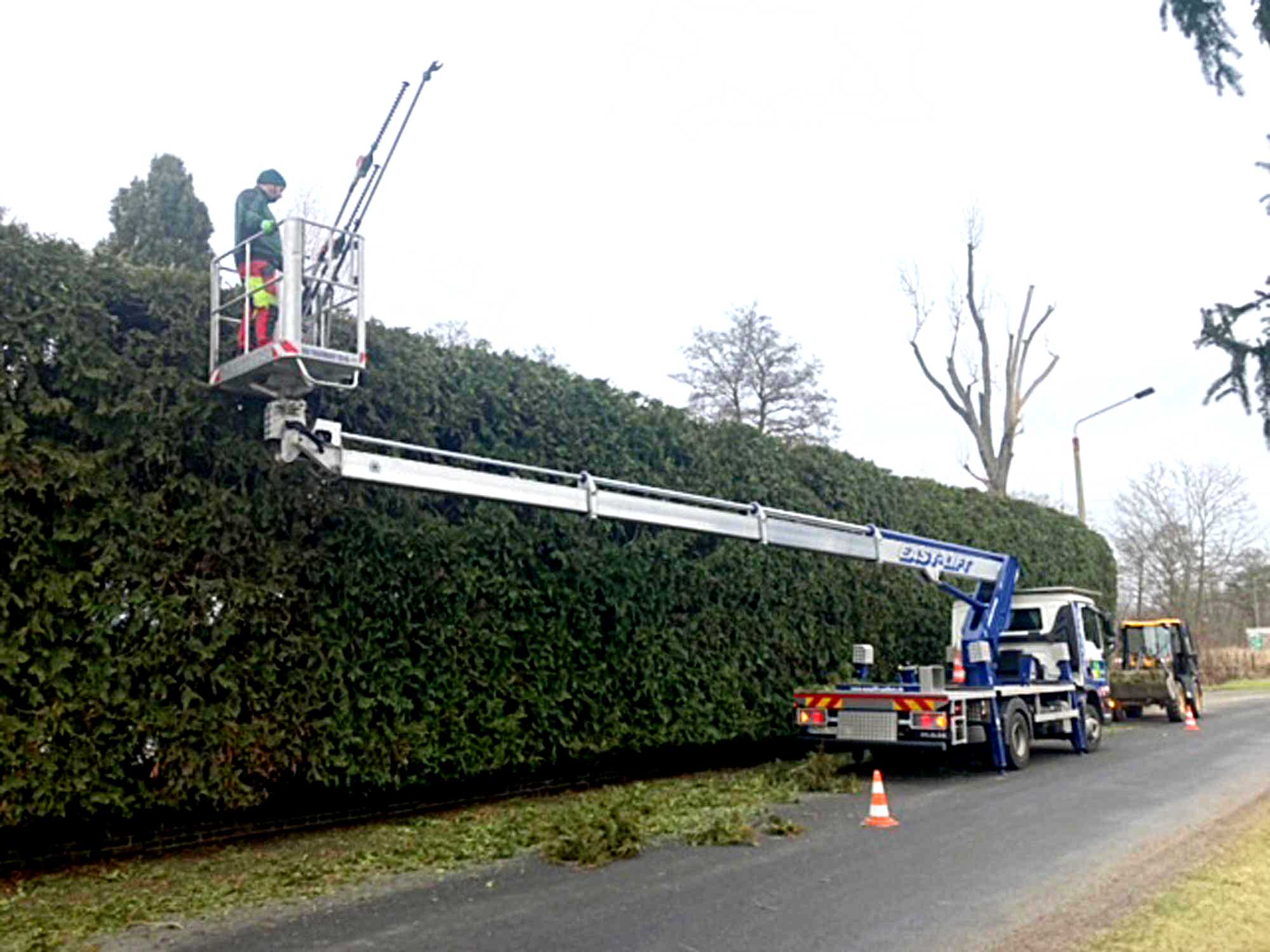 Firma Conrad – Garten- und Landschaftsbau: Heckenschnitt mit Hebebühne im Einsatz_Bild_3